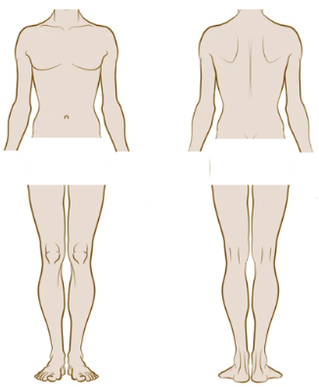 Body placement reference